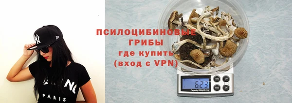 бошки Белокуриха